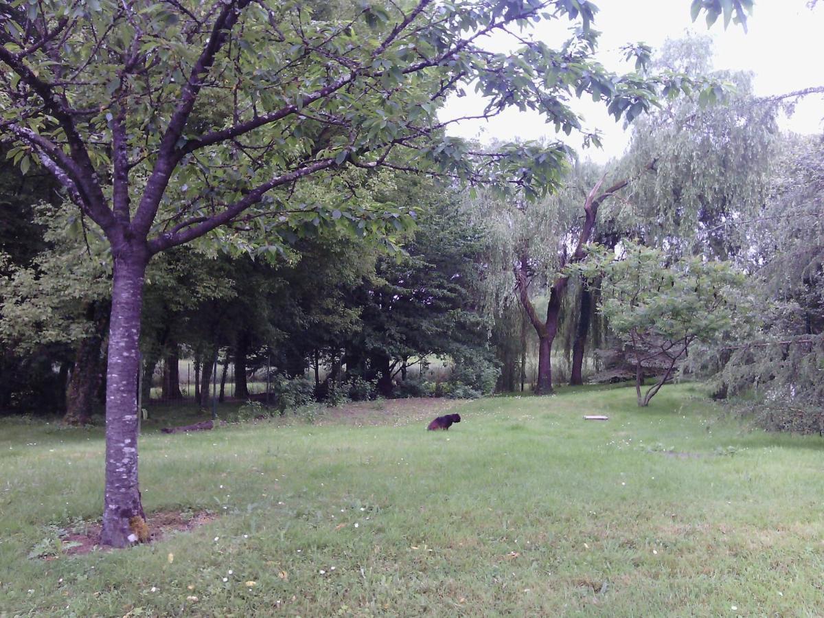 Chambre Independante Dans Un Parc Saint-Roch المظهر الخارجي الصورة